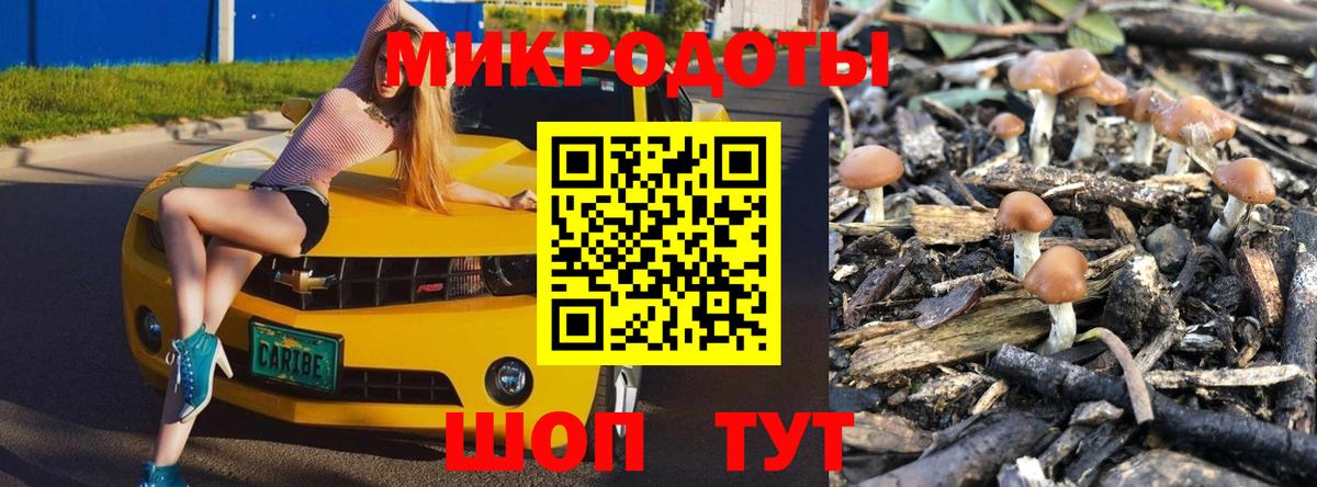 Сухой Лог  Галлюциногенные грибы GOLDEN TEACHER  Вход с VPN 