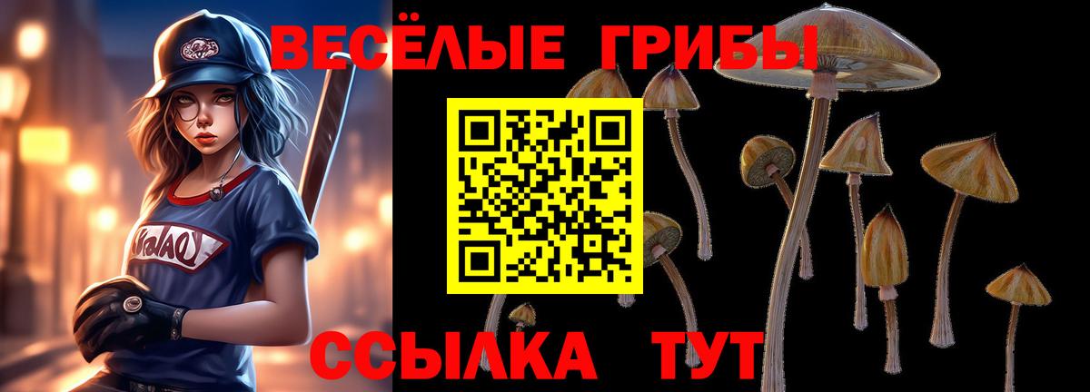 Галлюциногенные грибы Psilocybine cubensis Сухой Лог